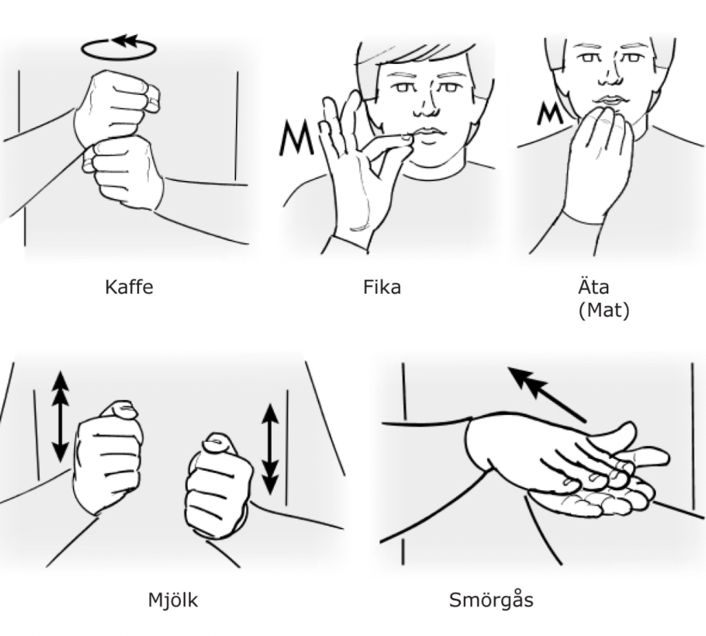 Det svenska teckenspråket