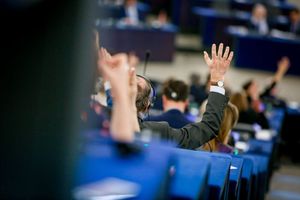 Enskilda europaparlamentariker påverkar mer än väntat