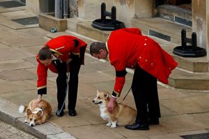 Det här händer med drottning Elizabeths II hundar
